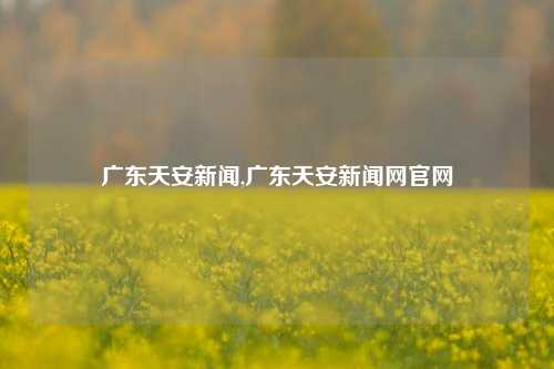 广东天安新闻,广东天安新闻网官网