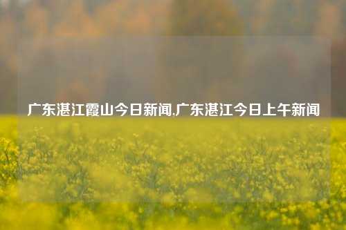 广东湛江霞山今日新闻,广东湛江今日上午新闻