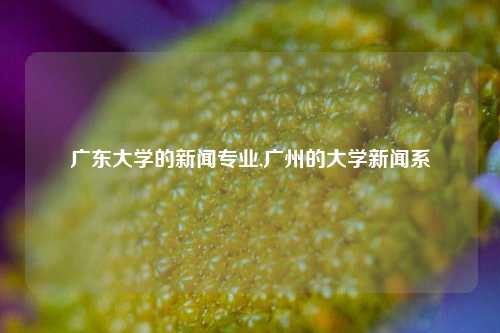 广东大学的新闻专业,广州的大学新闻系