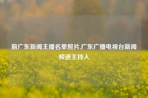 前广东新闻主播名单照片,广东广播电视台新闻频道主持人