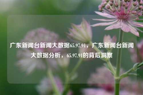 广东新闻台新闻大数据65.97.91，广东新闻台新闻大数据分析，65.97.91的背后洞察