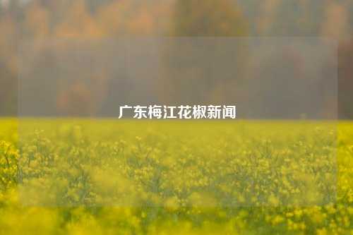 广东梅江花椒新闻