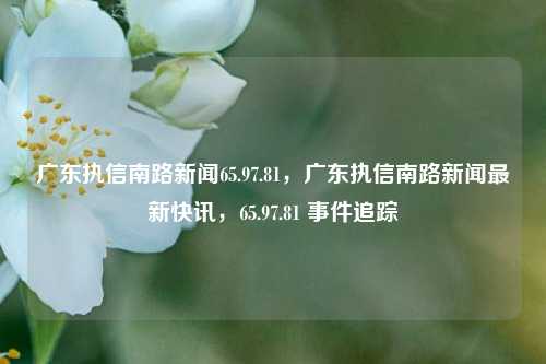 广东执信南路新闻65.97.81，广东执信南路新闻最新快讯，65.97.81 事件追踪