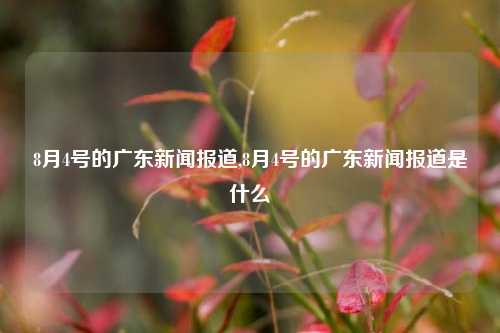 8月4号的广东新闻报道,8月4号的广东新闻报道是什么