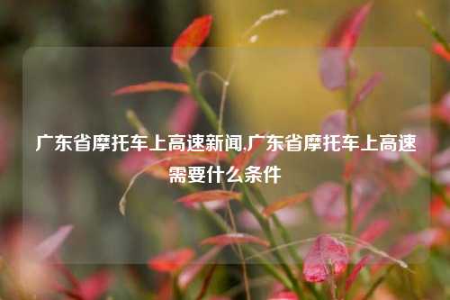 广东省摩托车上高速新闻,广东省摩托车上高速需要什么条件