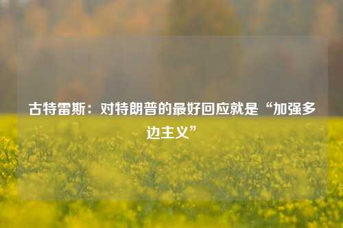 古特雷斯：对特朗普的最好回应就是“加强多边主义”