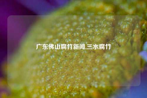 广东佛山腐竹新闻,三水腐竹