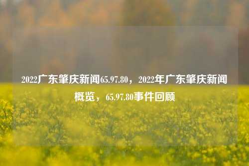 2022广东肇庆新闻65.97.80，2022年广东肇庆新闻概览，65.97.80事件回顾