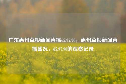 广东惠州草根新闻直播65.97.90，惠州草根新闻直播盛况，65.97.90的观察记录