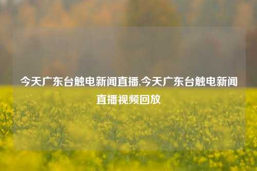 今天广东台触电新闻直播,今天广东台触电新闻直播视频回放