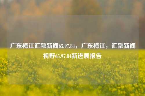 广东梅江汇融新闻65.97.84，广东梅江，汇融新闻视野65.97.84新进展报告