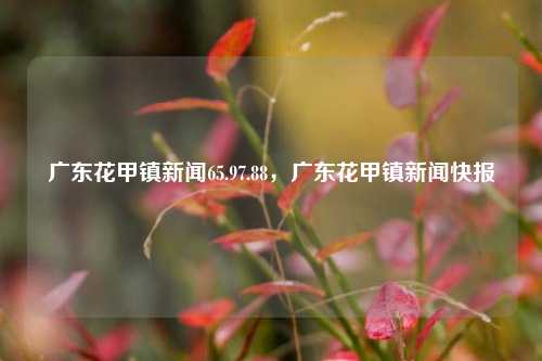 广东花甲镇新闻65.97.88，广东花甲镇新闻快报