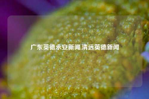 广东英德永安新闻,清远英德新闻