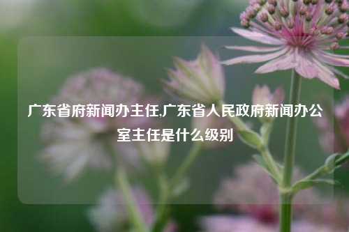 广东省府新闻办主任,广东省人民政府新闻办公室主任是什么级别