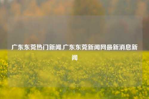 广东东莞热门新闻,广东东莞新闻网最新消息新闻