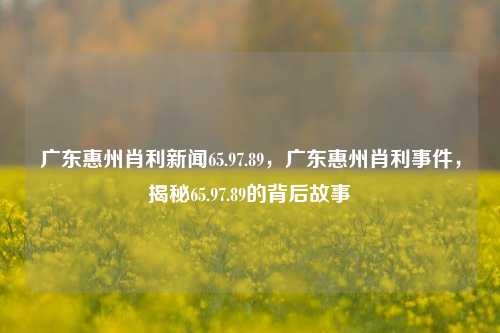 广东惠州肖利新闻65.97.89，广东惠州肖利事件，揭秘65.97.89的背后故事