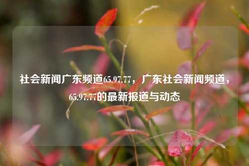 社会新闻广东频道65.97.77，广东社会新闻频道，65.97.77的最新报道与动态