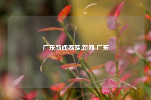 广东新闻泰蛙,新闻 广东