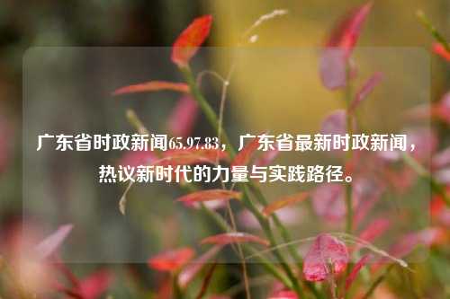 广东省时政新闻65.97.83，广东省最新时政新闻，热议新时代的力量与实践路径。