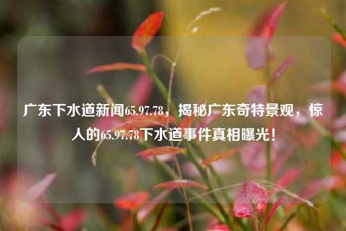 广东下水道新闻65.97.78，揭秘广东奇特景观，惊人的65.97.78下水道事件真相曝光！