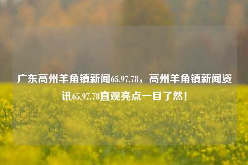 广东高州羊角镇新闻65.97.78，高州羊角镇新闻资讯65.97.78直观亮点一目了然！