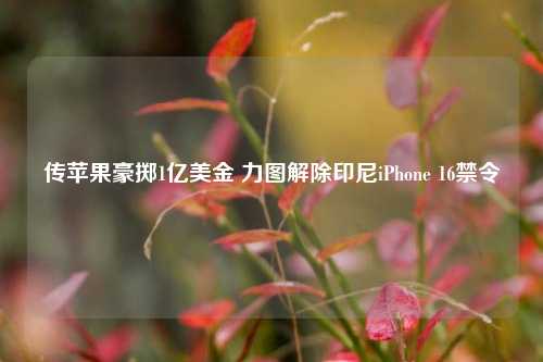 传苹果豪掷1亿美金 力图解除印尼iPhone 16禁令