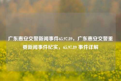 广东惠安交警新闻事件65.97.89，广东惠安交警重要新闻事件纪实，65.97.89 事件详解