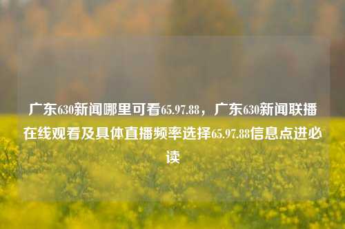 广东630新闻哪里可看65.97.88，广东630新闻联播在线观看及具体直播频率选择65.97.88信息点进必读