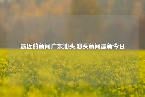 最近的新闻广东汕头,汕头新闻最新今日