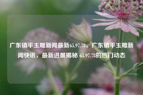 广东镇平玉雕新闻最新65.97.78，广东镇平玉雕新闻快讯，最新进展揭秘 65.97.78的热门动态