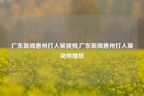 广东新闻惠州打人案视频,广东新闻惠州打人案视频播放