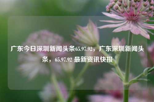 广东今日深圳新闻头条65.97.92，广东深圳新闻头条，65.97.92 最新资讯快报