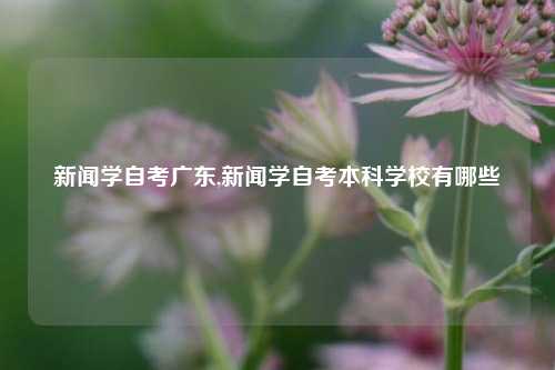 新闻学自考广东,新闻学自考本科学校有哪些