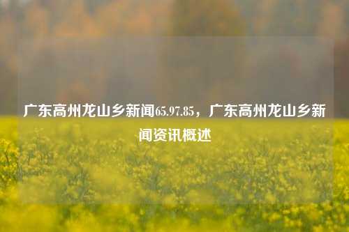 广东高州龙山乡新闻65.97.85，广东高州龙山乡新闻资讯概述