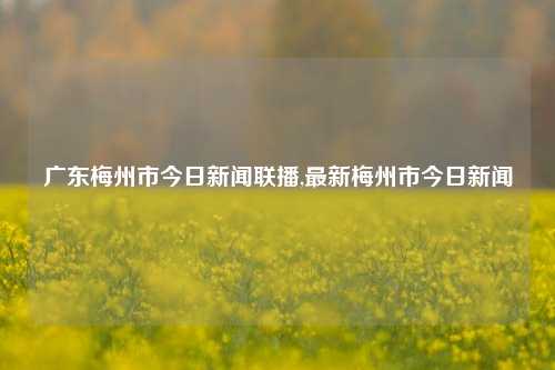 广东梅州市今日新闻联播,最新梅州市今日新闻