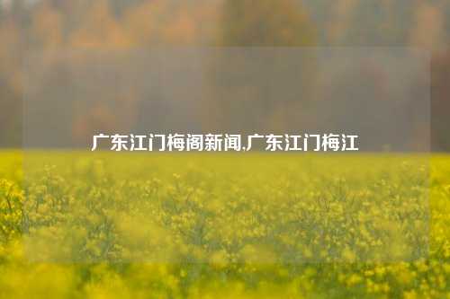 广东江门梅阁新闻,广东江门梅江