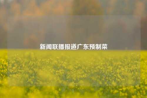 新闻联播报道广东预制菜