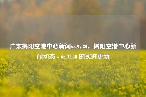 广东揭阳空港中心新闻65.97.80，揭阳空港中心新闻动态 - 65.97.80 的实时更新