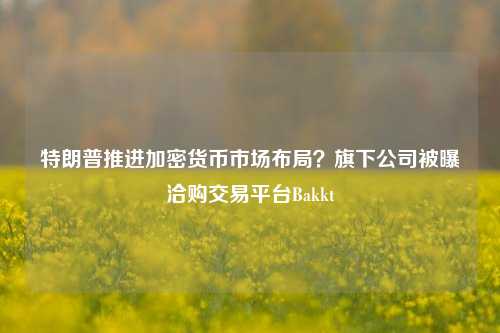 特朗普推进加密货币市场布局？旗下公司被曝洽购交易平台Bakkt