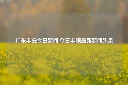 广东丰安今日新闻,今日丰顺最新新闻头条