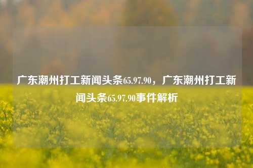 广东潮州打工新闻头条65.97.90，广东潮州打工新闻头条65.97.90事件解析