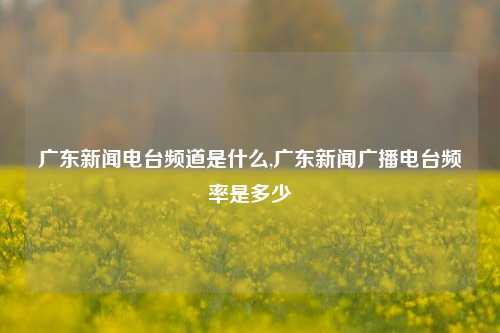 广东新闻电台频道是什么,广东新闻广播电台频率是多少