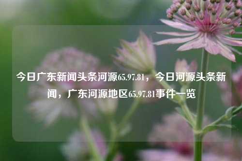 今日广东新闻头条河源65.97.81，今日河源头条新闻，广东河源地区65.97.81事件一览