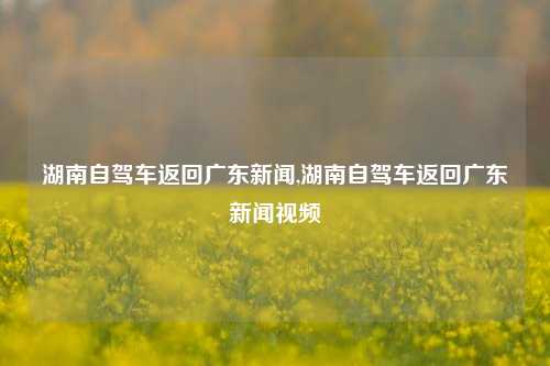 湖南自驾车返回广东新闻,湖南自驾车返回广东新闻视频