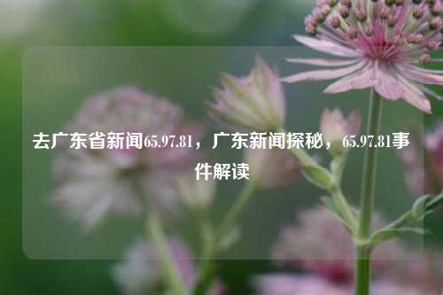 去广东省新闻65.97.81，广东新闻探秘，65.97.81事件解读