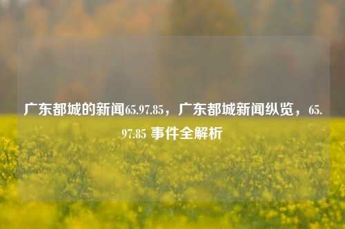 广东都城的新闻65.97.85，广东都城新闻纵览，65.97.85 事件全解析