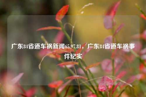 广东84省道车祸新闻65.97.81，广东84省道车祸事件纪实