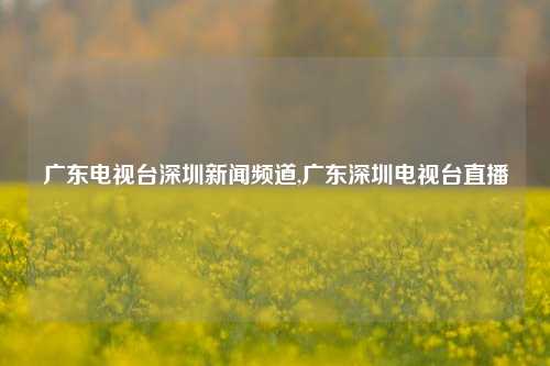 广东电视台深圳新闻频道,广东深圳电视台直播