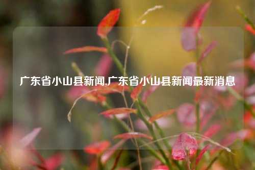 广东省小山县新闻,广东省小山县新闻最新消息