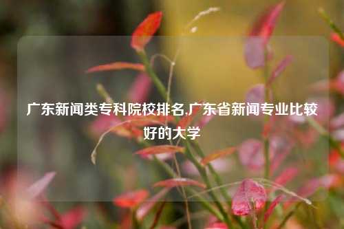 广东新闻类专科院校排名,广东省新闻专业比较好的大学